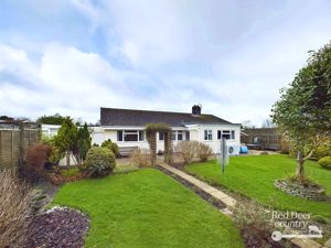 Rear- click for photo gallery